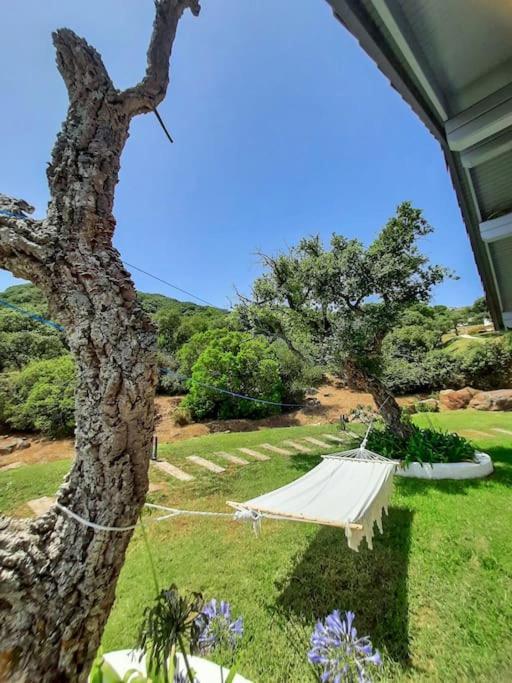 Casa Micheal - Luxury Villa - El Cuarton, Tarifa Exterior photo